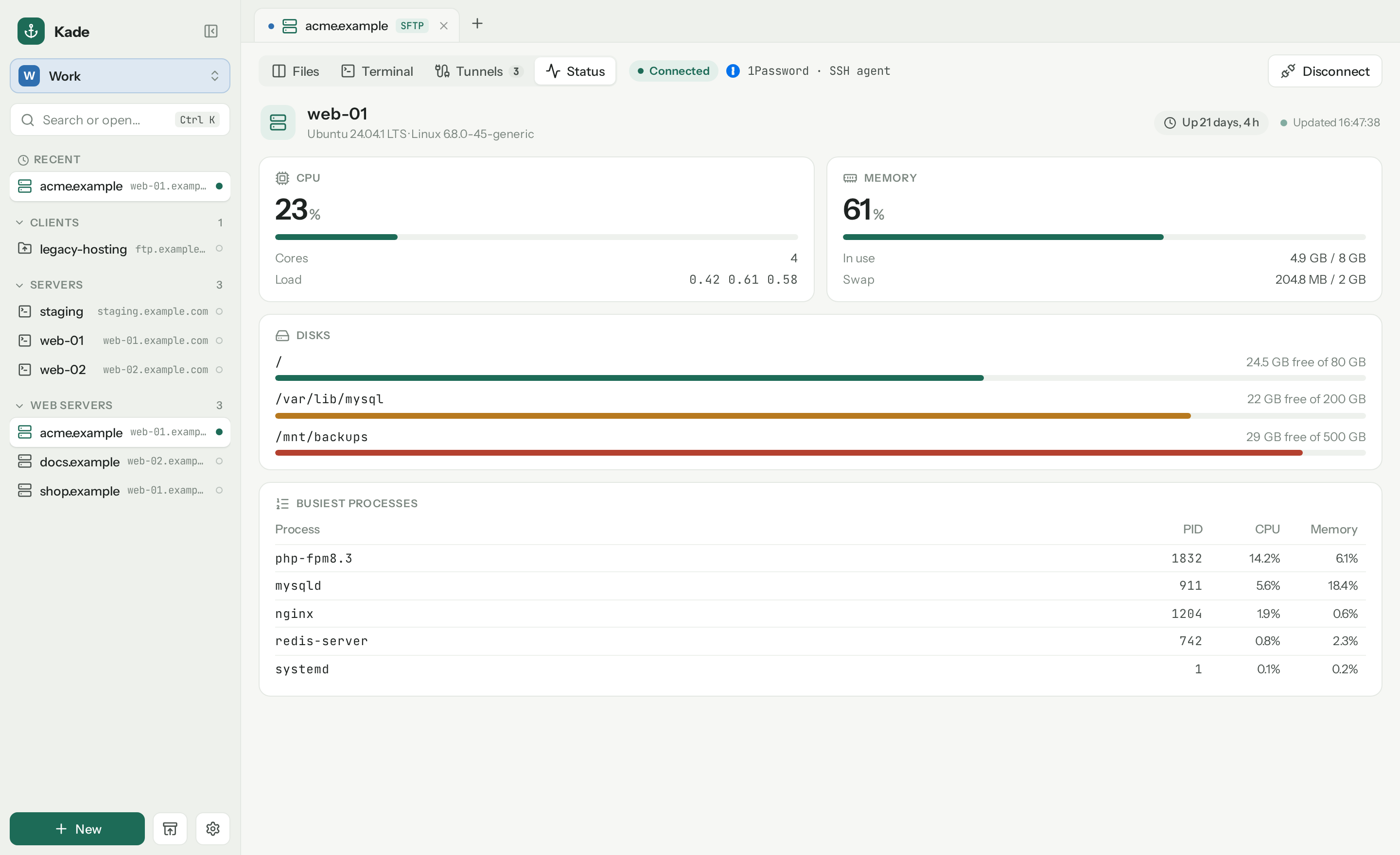 Server status with CPU, memory, disks and processes